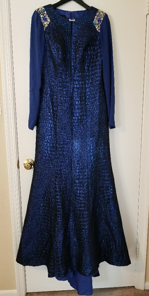 Long sleeve Artizara gown size 10 with train